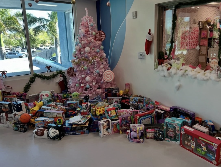 December 2024: Toy Drive